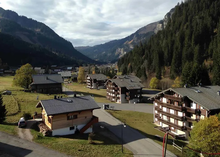 4 Pieces, 6 Pers. Avec Balcon, Garage, Wifi - Fr-1-676-160 Châtel